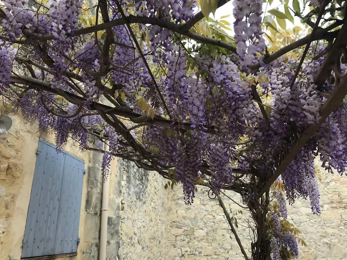 Holiday home Maison De Ville Provencale Tarascon 13150